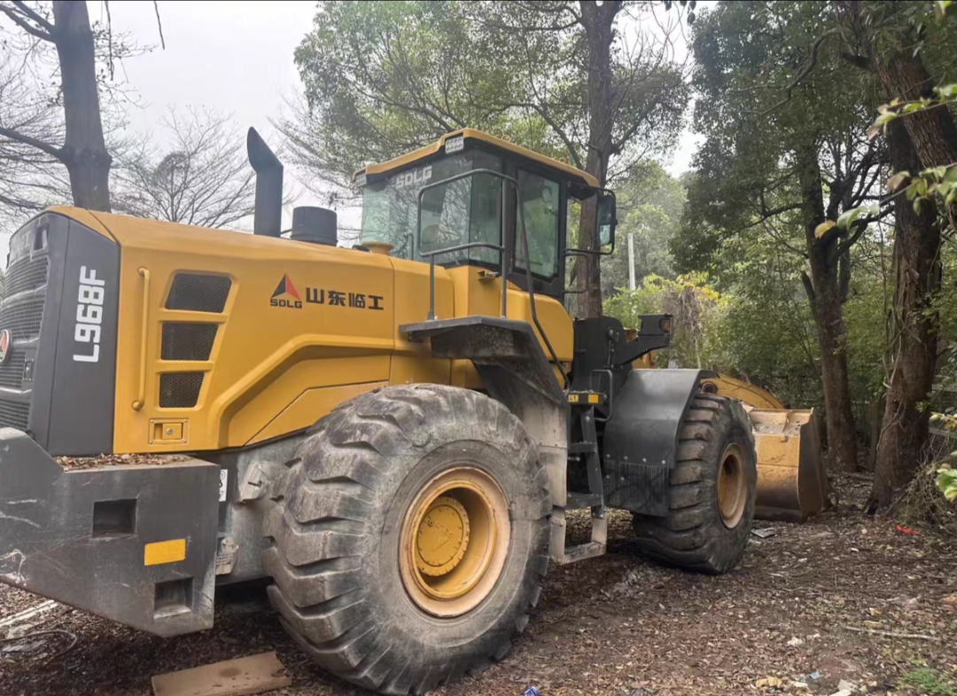 Shandong Lingong L968F