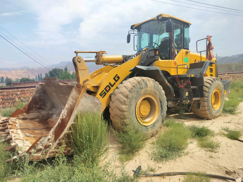 Shandong Lingong L956F