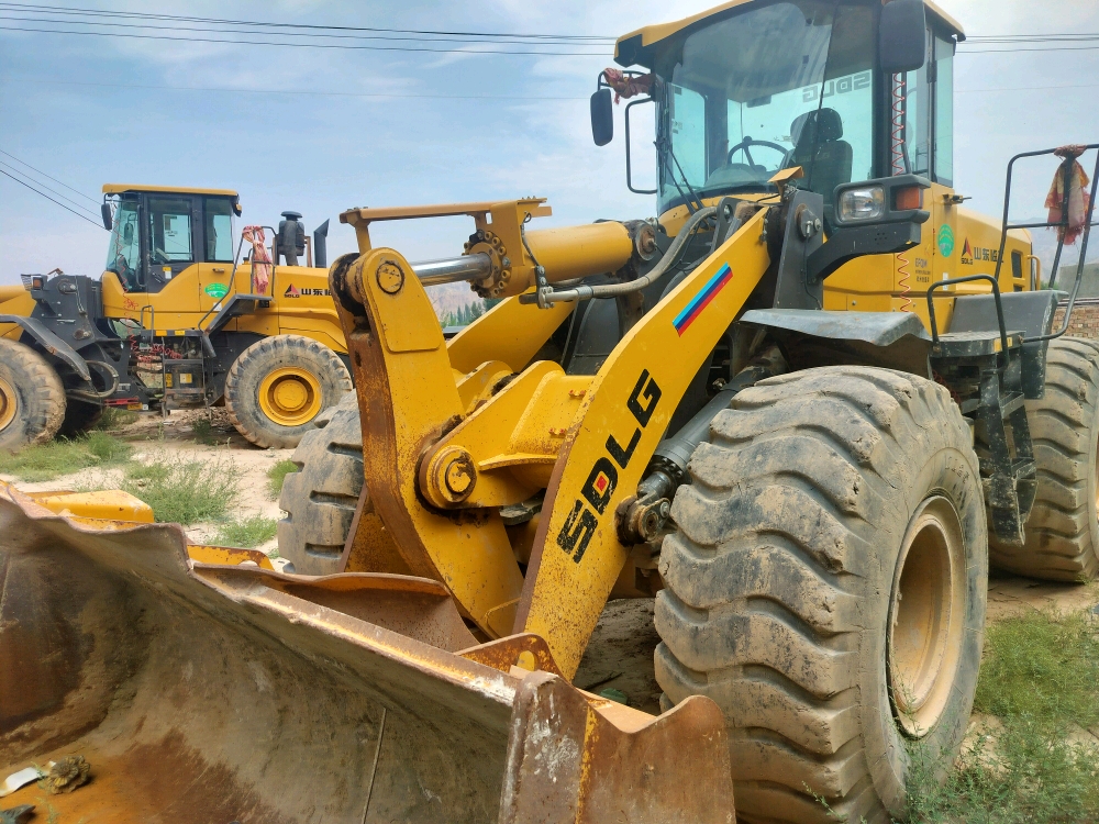 Shandong Lingong L956F