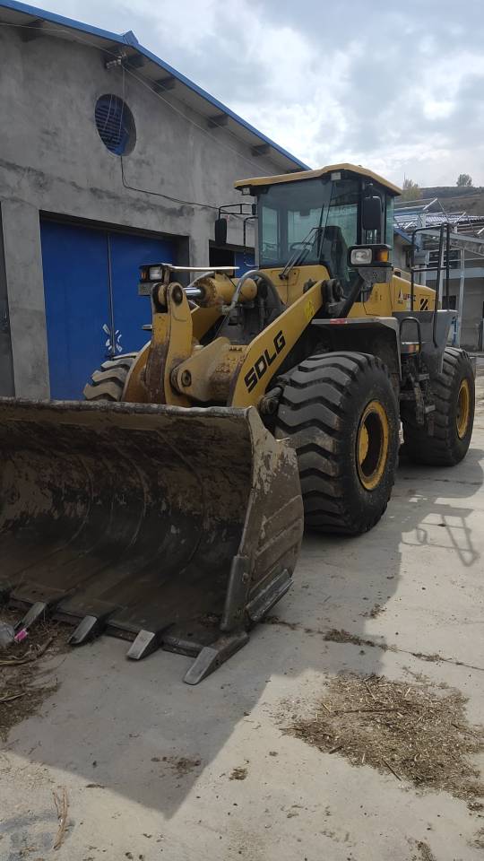 Shandong Lingong LG956L