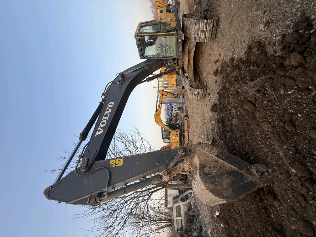 Volvo EC250DL
